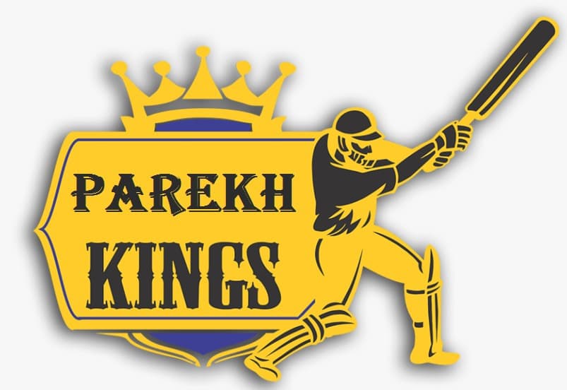 Parekh Kings team logo