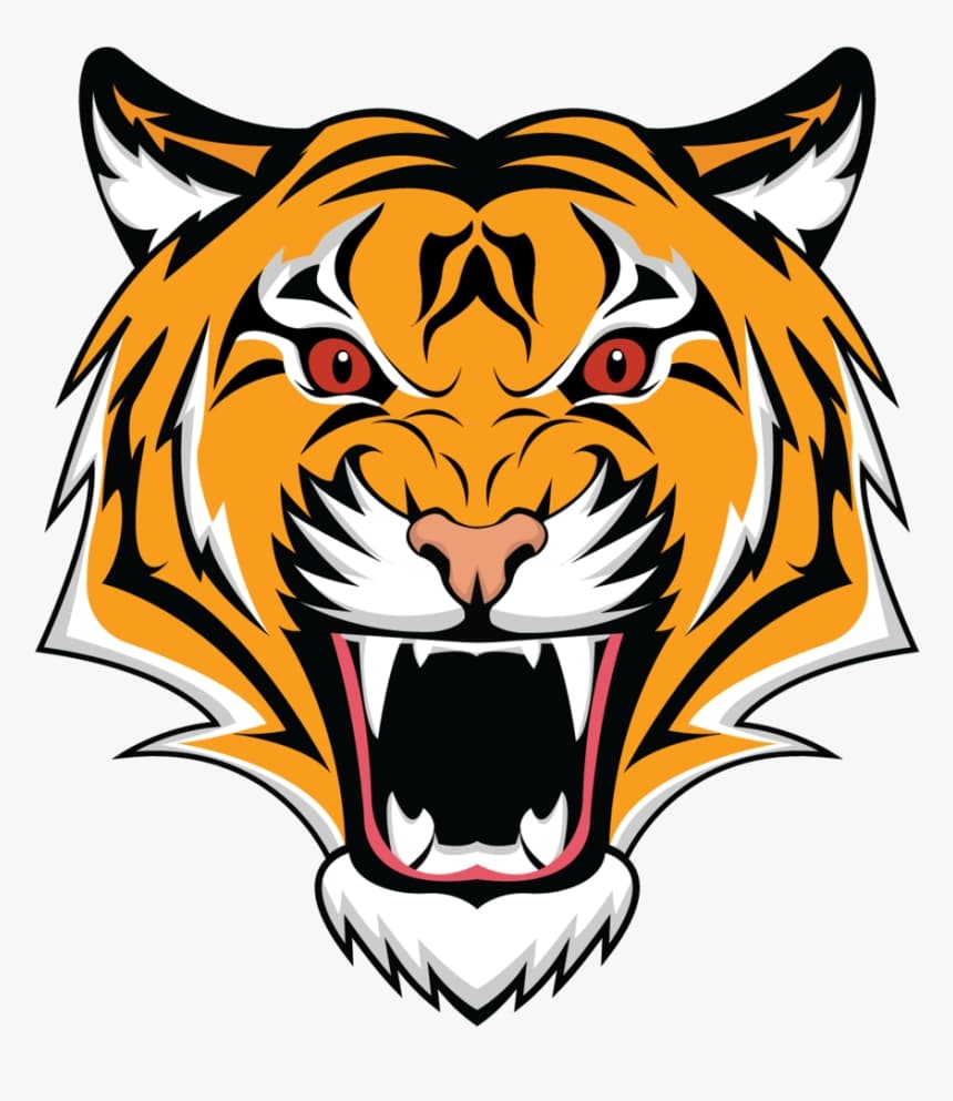 Bhakkar Tigers team logo