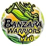Bangzara Worriers