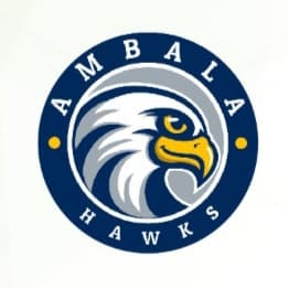 AmbalaHawks team logo