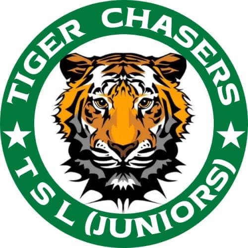 Tiger Chasers
