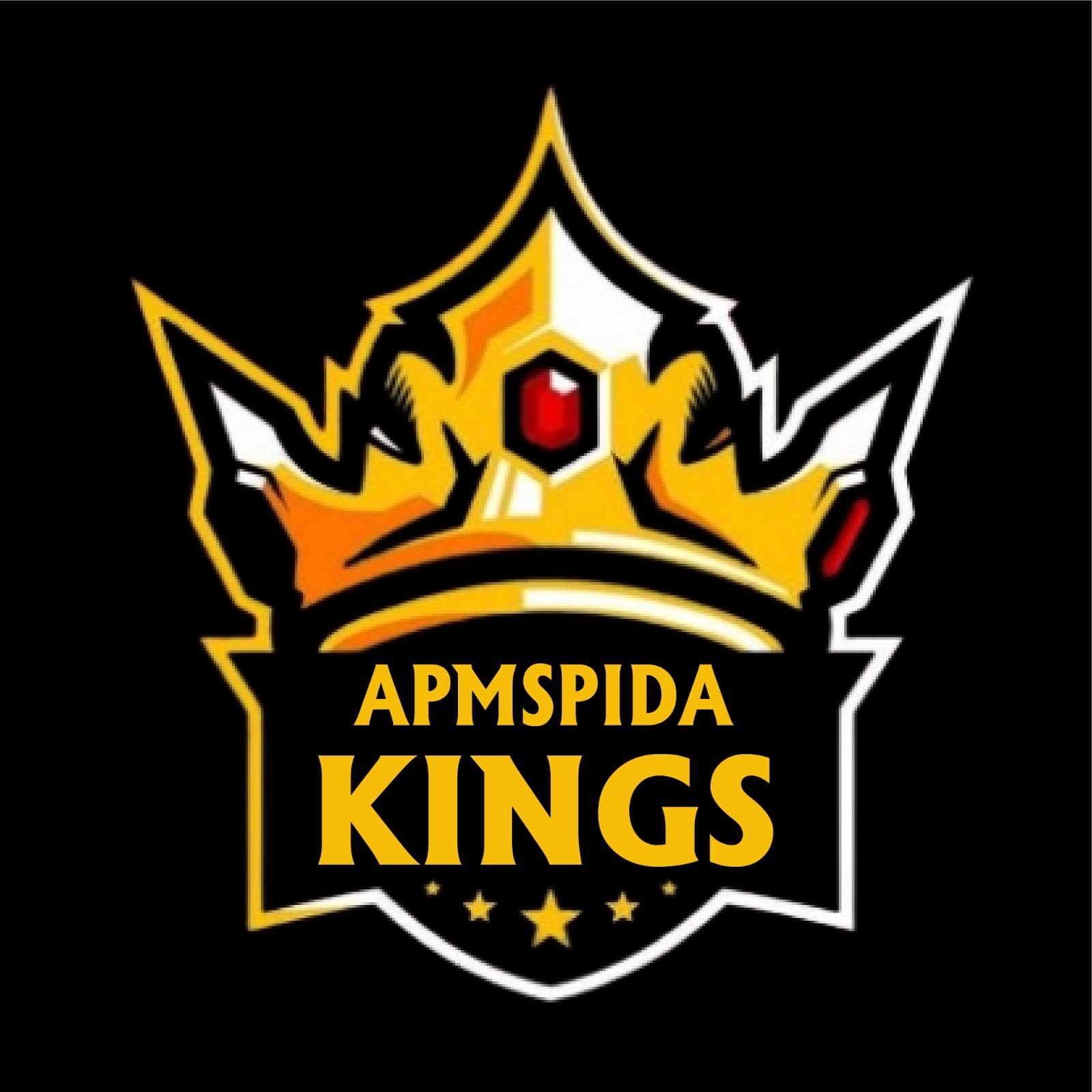 APMSPIDA KINGS team logo