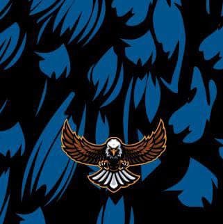 Shaheen Fighter team logo