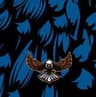 Shaheen Fighter