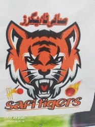Safi tigers