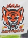 Safi tigers