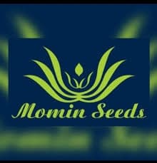 Momin Seeds