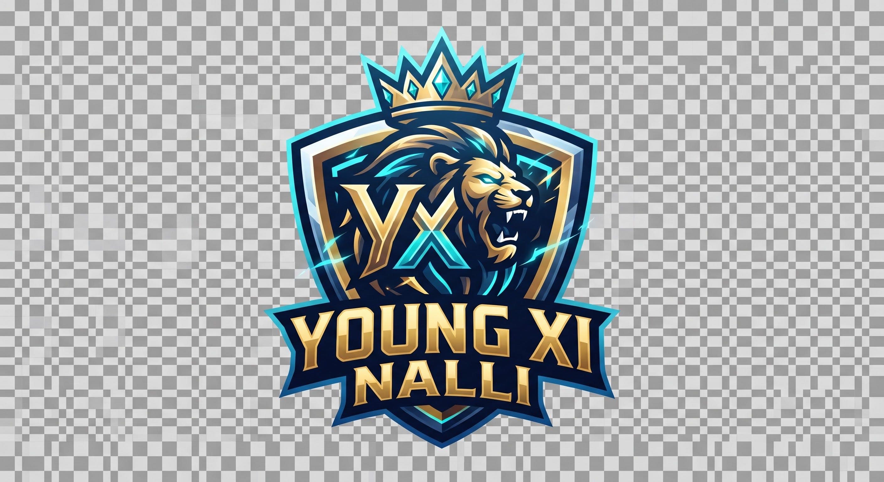 Young Star Xi Nalli team logo