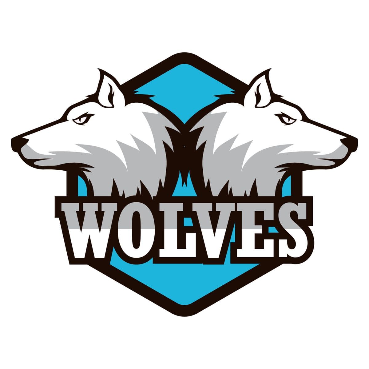 Faisalabad Wolves