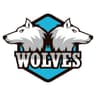 Faisalabad Wolves