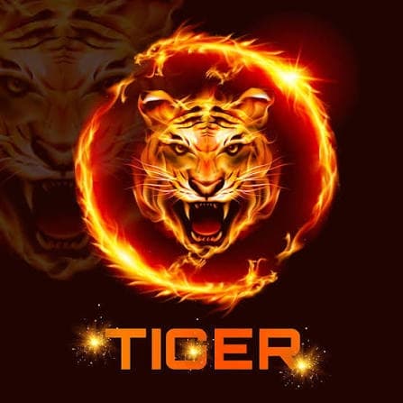 East Regions (Tigers)