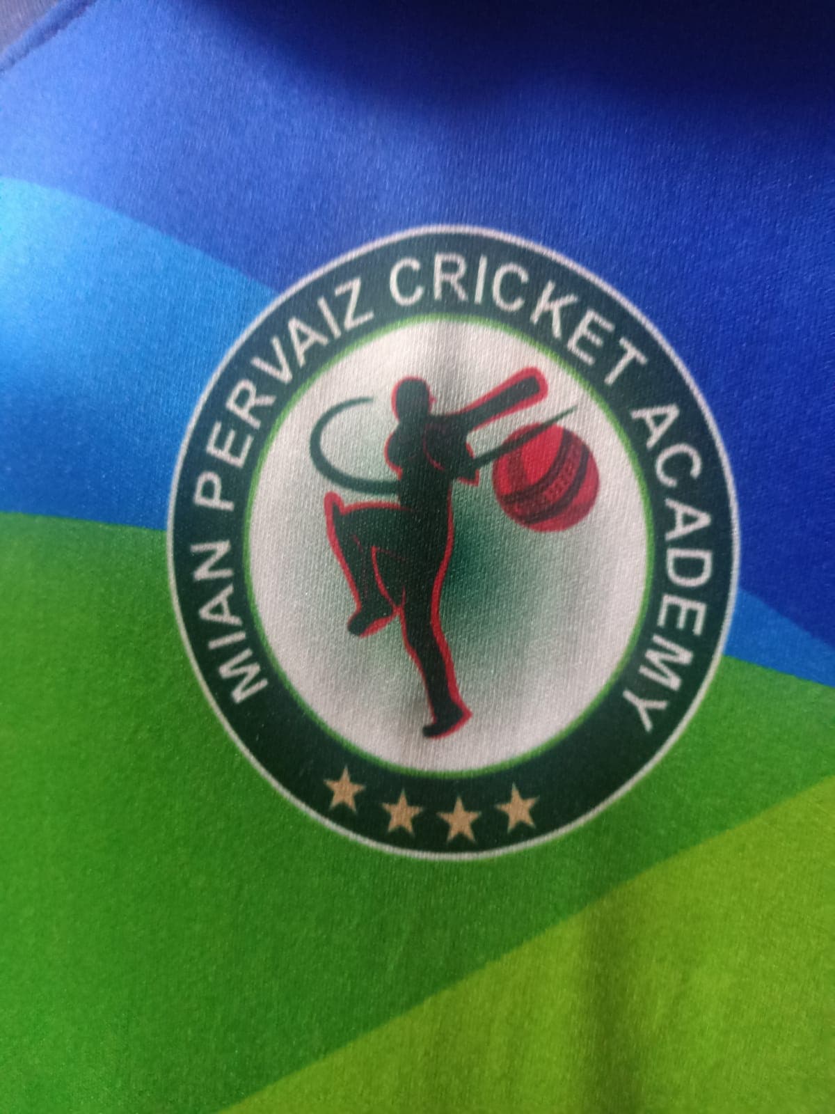 Mian Pervaiz Cricket Academy team logo