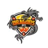 Dragons