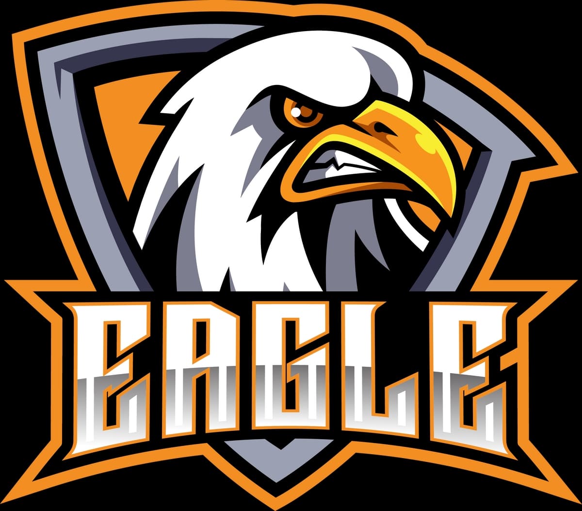 Faisalabad Eagles