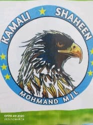 kamali shaheen team logo