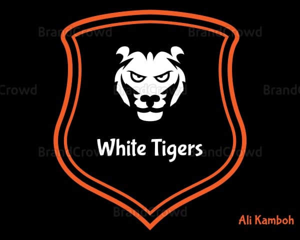 Waqar Shah team logo