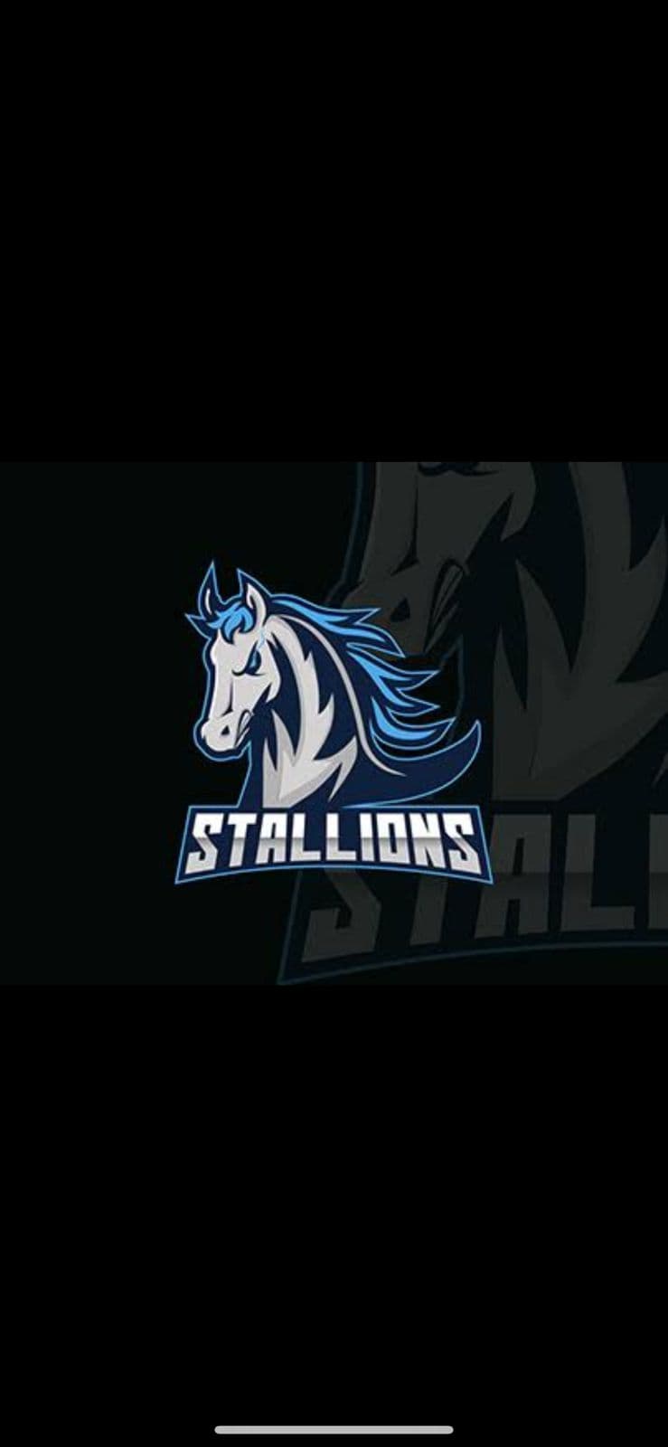 Stallions