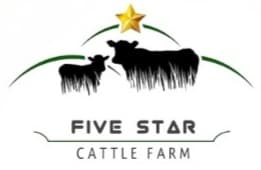 Five Star team logo