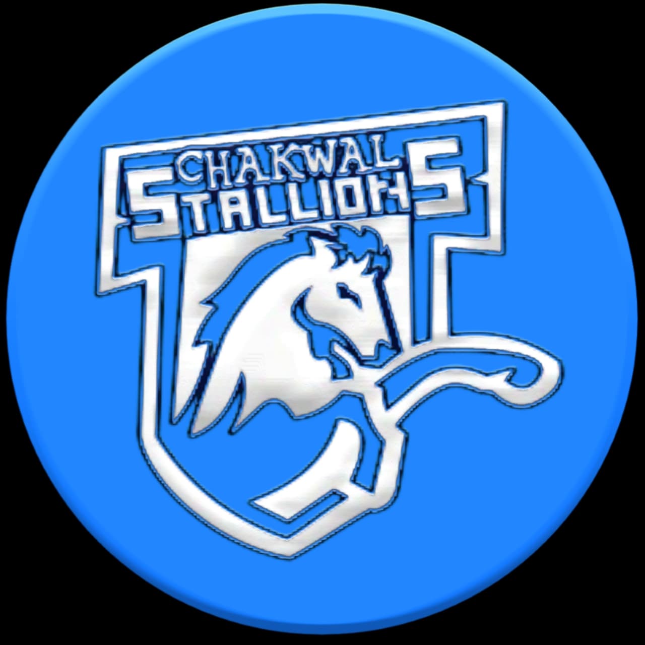 Chakwal Stallions team logo
