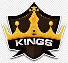 Manzil Kings team logo