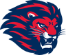 LAHORE LIONS