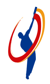 Young Star Larkana team logo