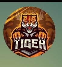 Mazdorabad Tigers team logo