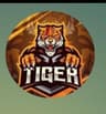 Mazdorabad Tigers