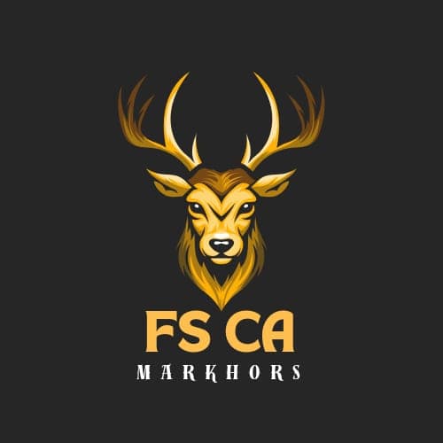 FS CRICKET ACADEMY
