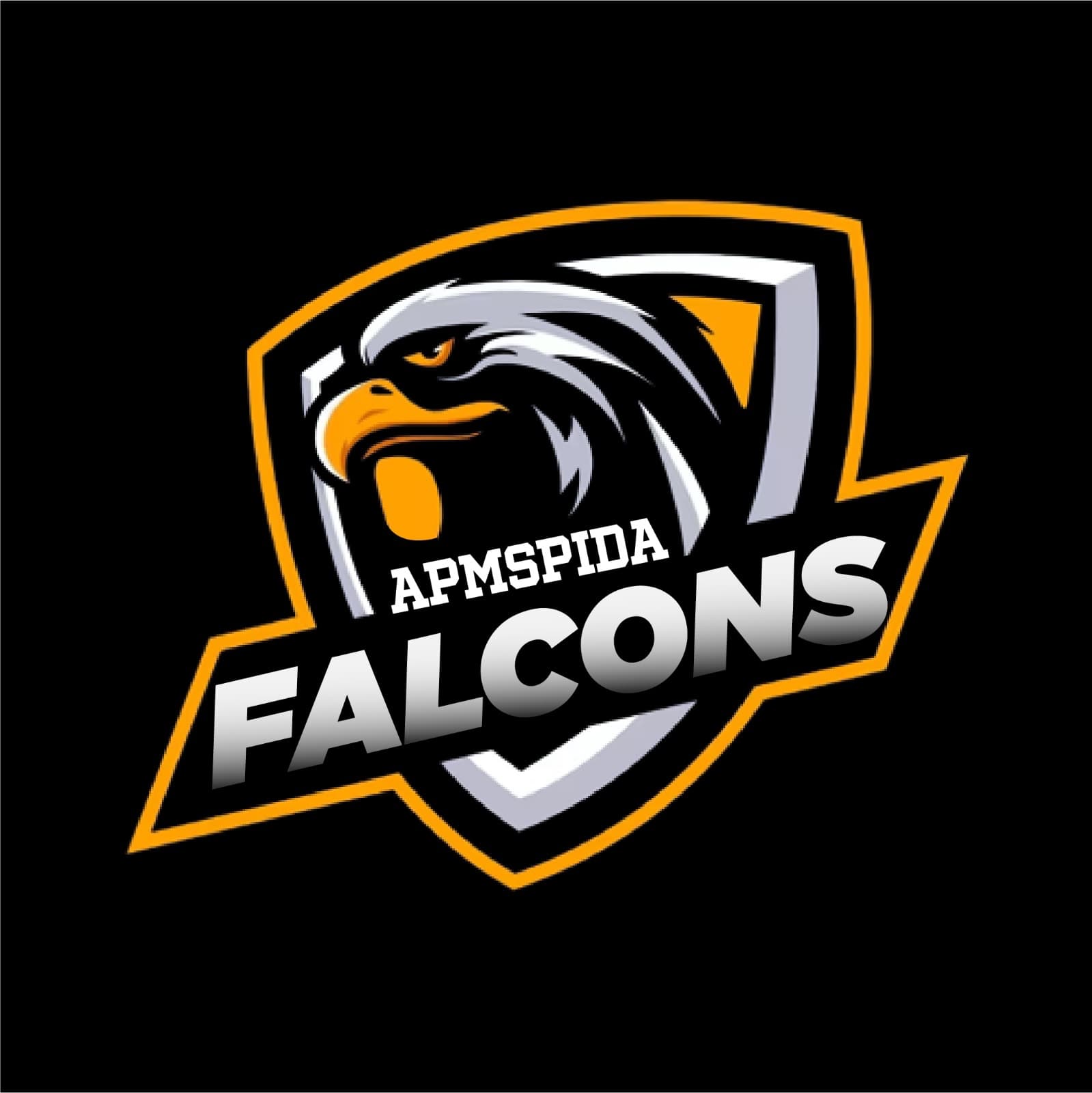 APMSPIDA FALCONS team logo
