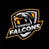 APMSPIDA FALCONS