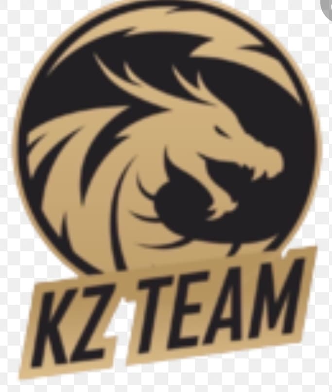 Katvi zalmi team logo