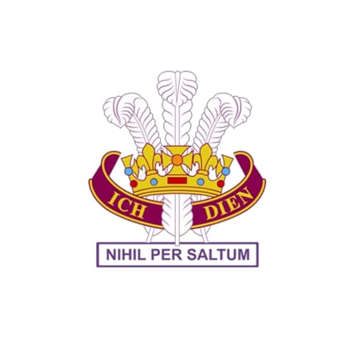 PRINCE OF WALES' COLLEGE team logo