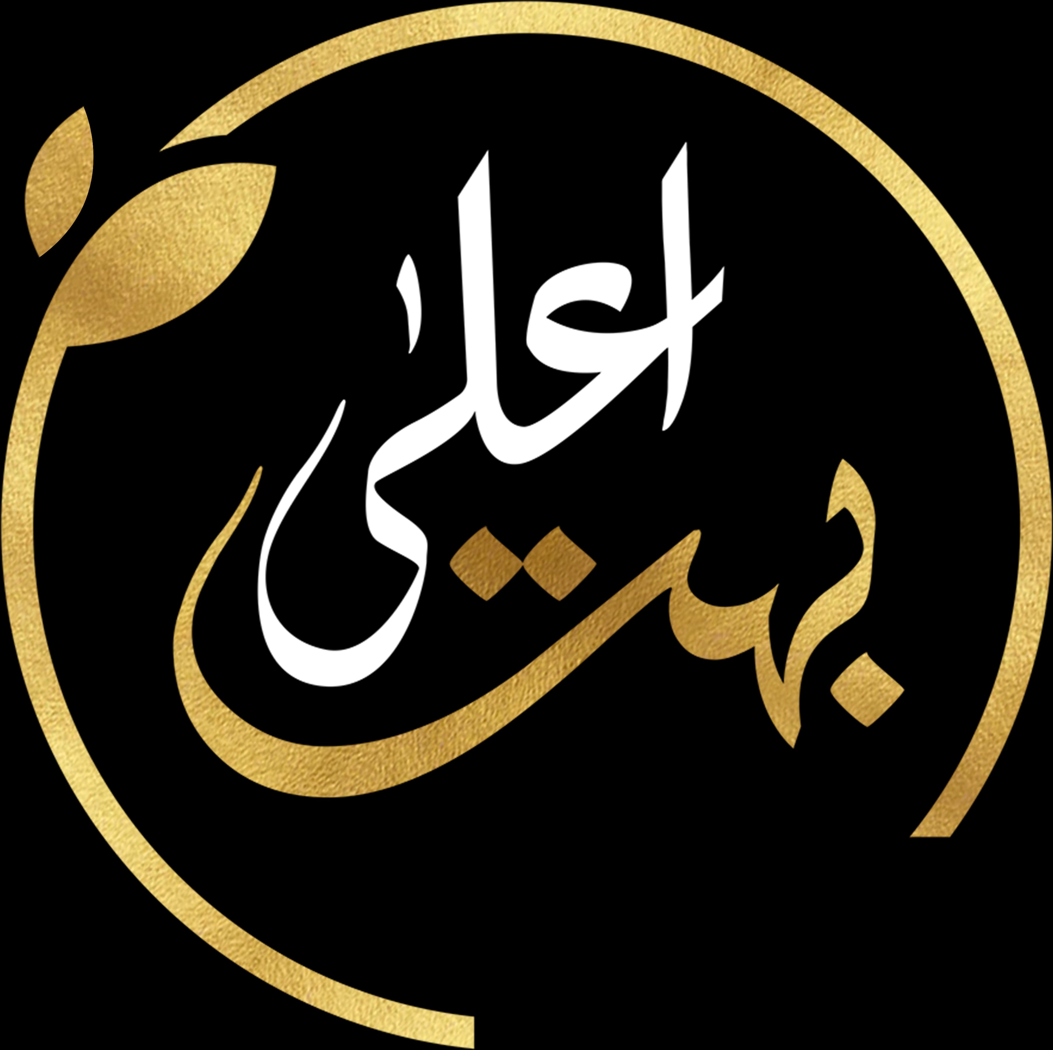 Bohat Aala Eagles team logo