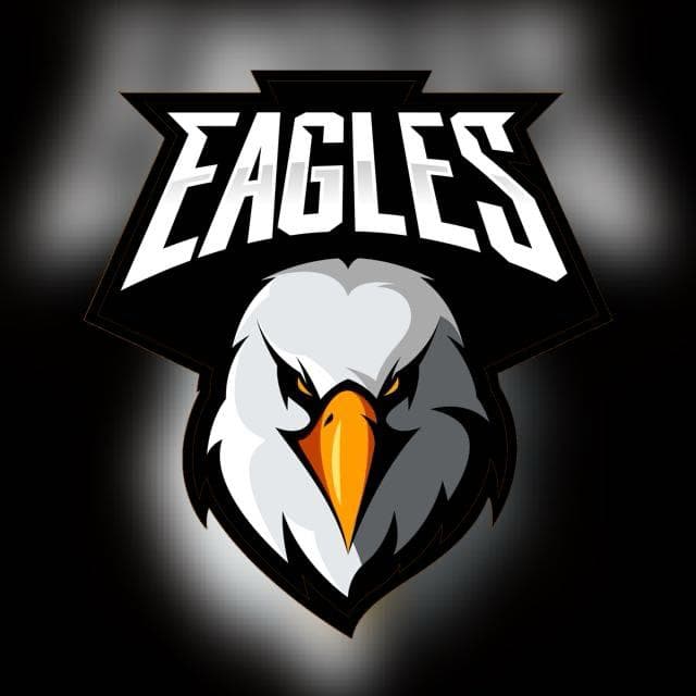 Eagles Cc team logo
