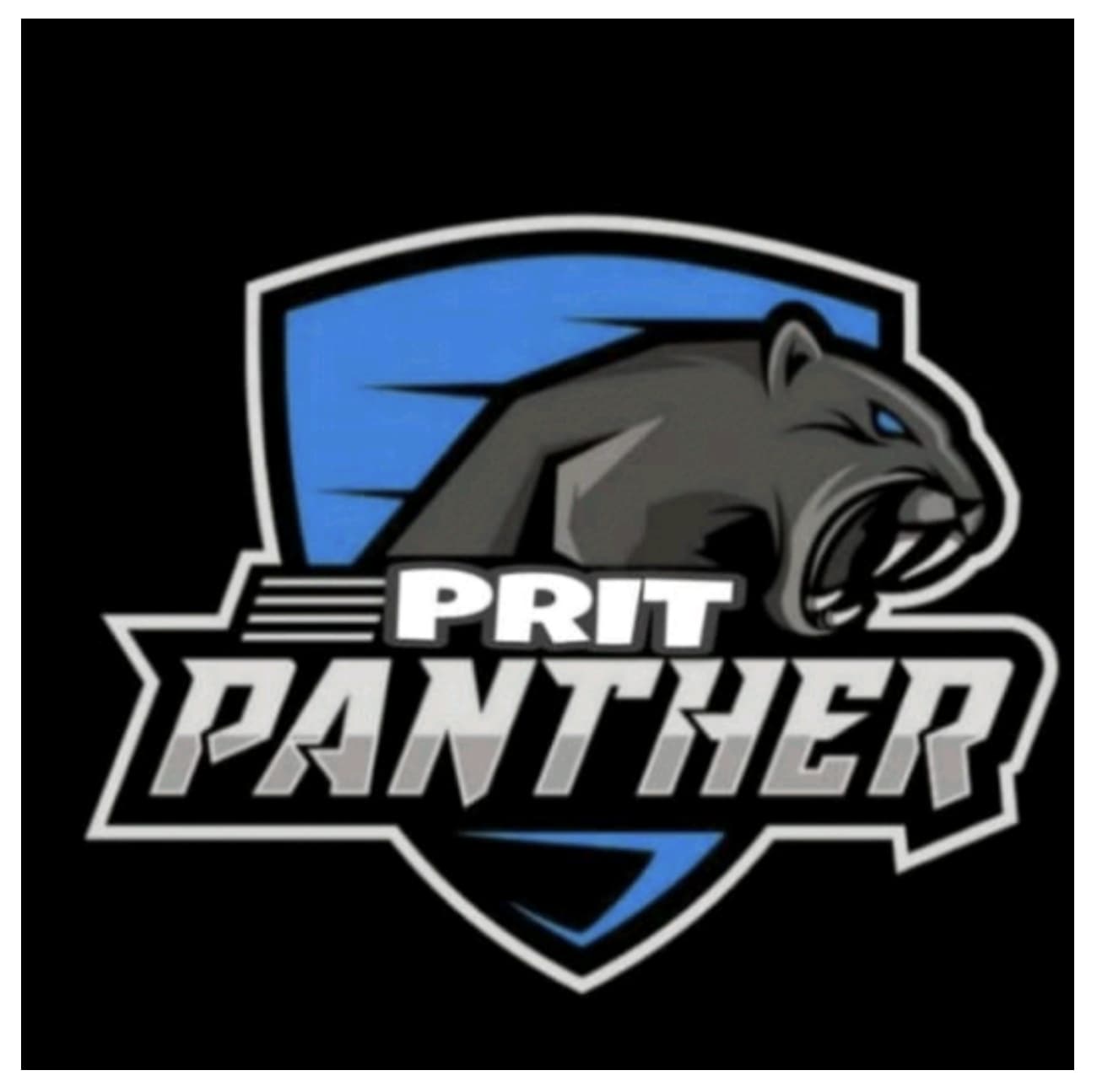 PRIT PANTHERS