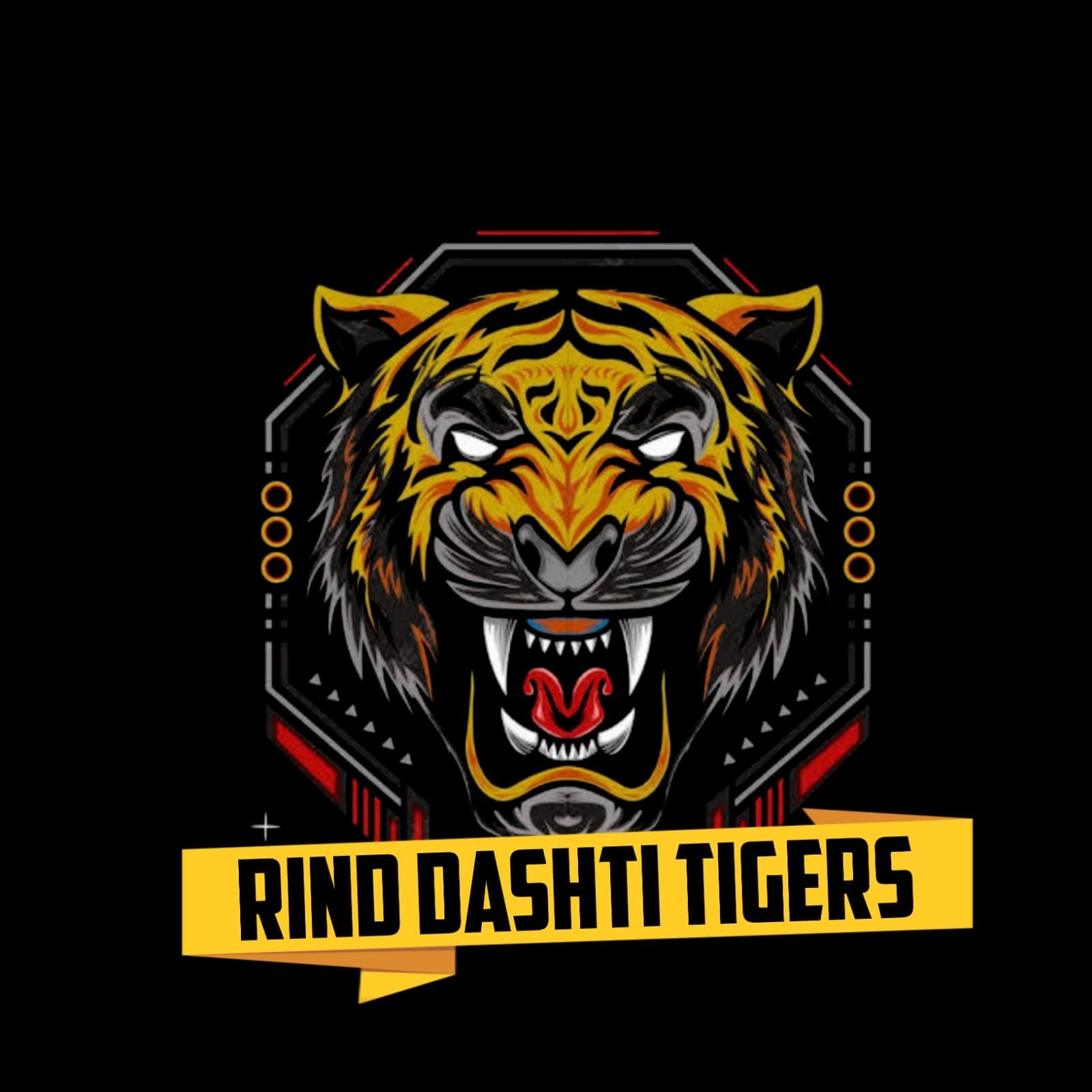 Rind Dashti Tigers team logo