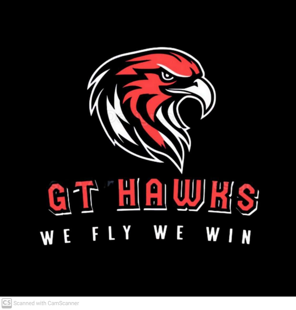 GT Hawks team logo