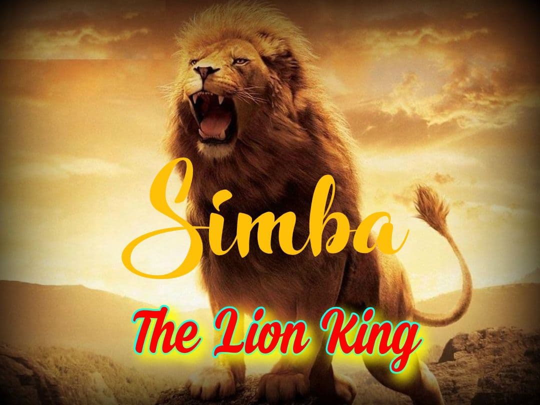 Simba The Lion King