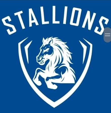 Shery team logo