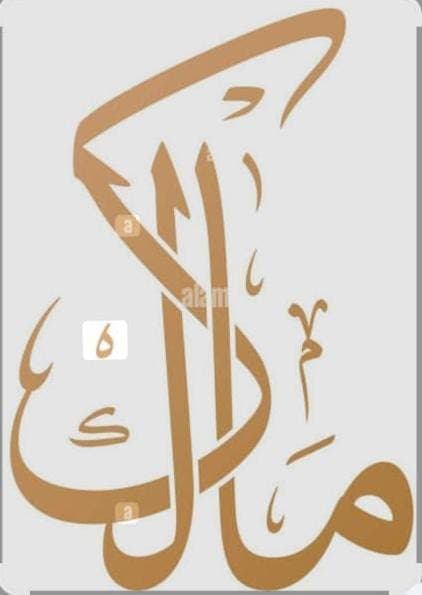 MALIK BROTHERS team logo