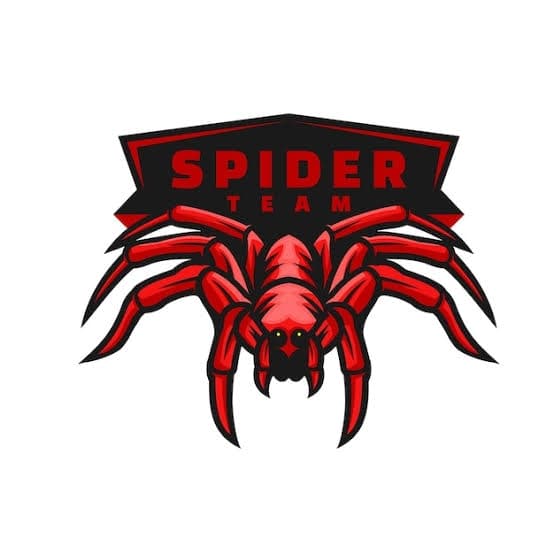 Spiders