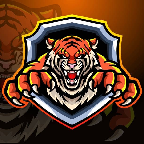 Mir Manzoor Khan Hijwani Tigers team logo
