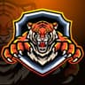 Mir Manzoor Khan Hijwani Tigers