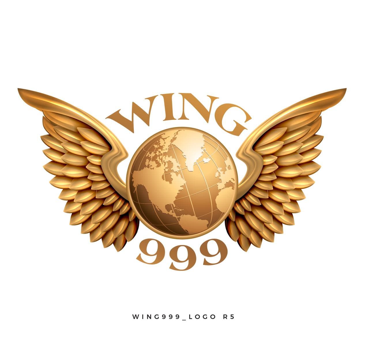 WING 999 team logo