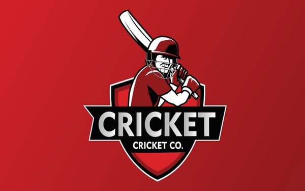 Mandi Bahauddin team logo