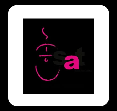SOUTH ASIAN TECHNOLOGIES