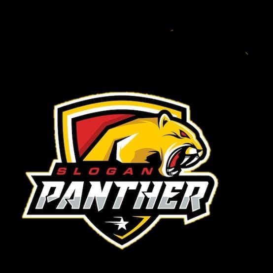 Panthers team logo