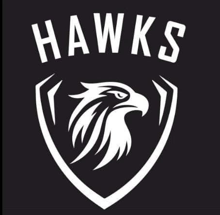 Atco Hawks team logo