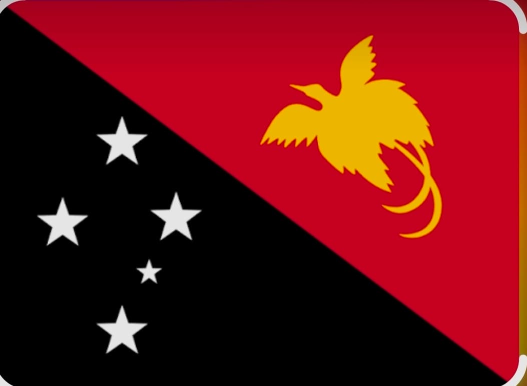 PAPUA NEW GUINEA team logo